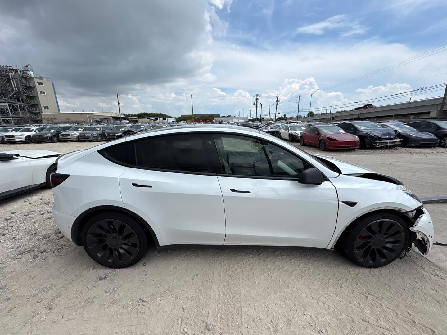 Thumbnail 12